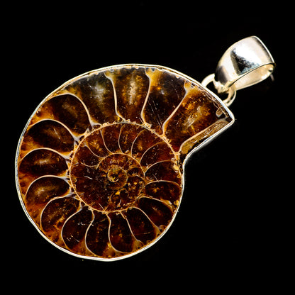 Round ammonite fossil pendant with amber-brown spiral pattern and silver bezel, bail