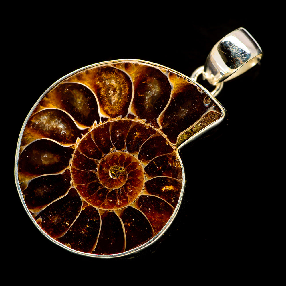 Round ammonite fossil pendant with silver bail and brown amber spiral in bezel