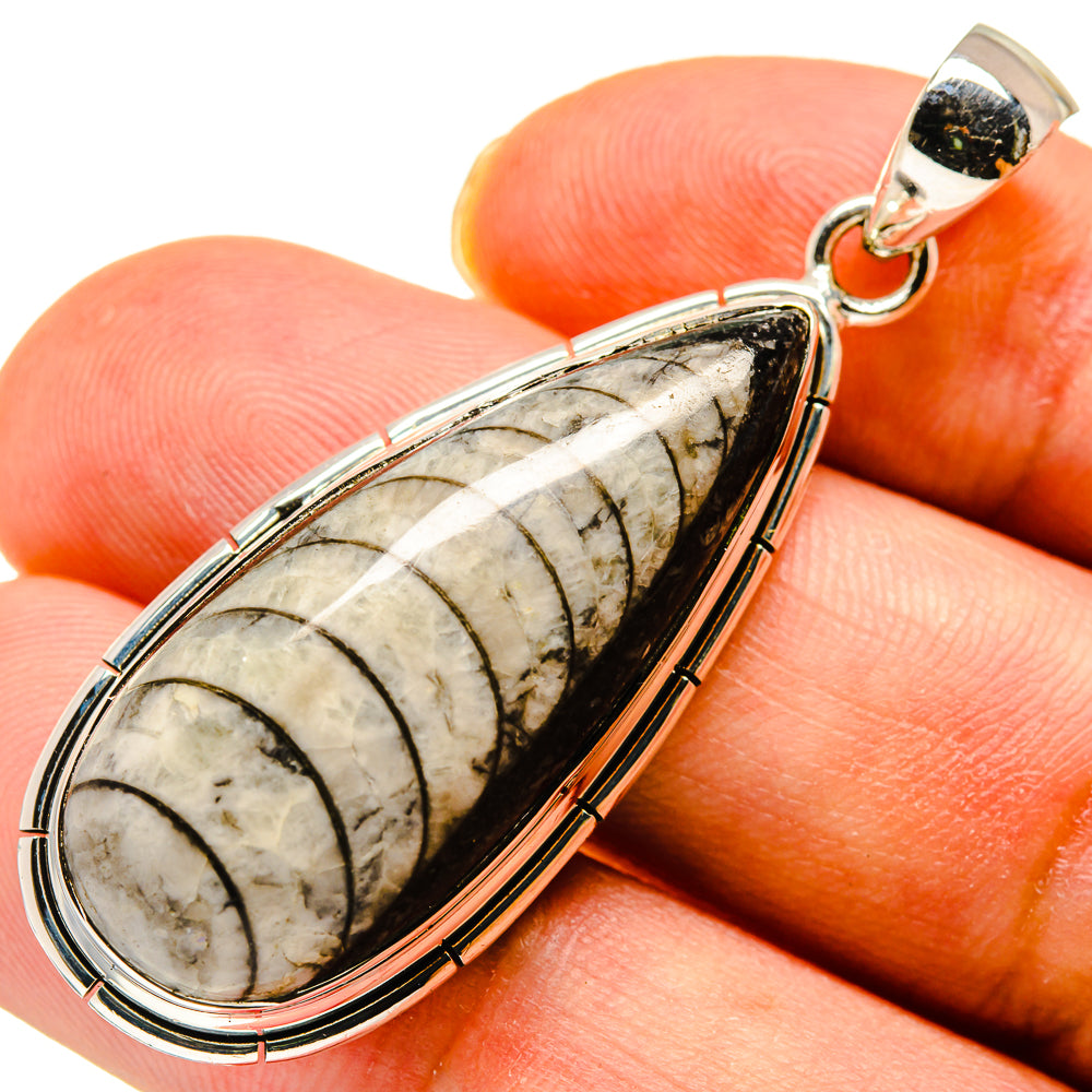 Orthoceras Fossil Pendants handcrafted by Ana Silver Co - PD737763
