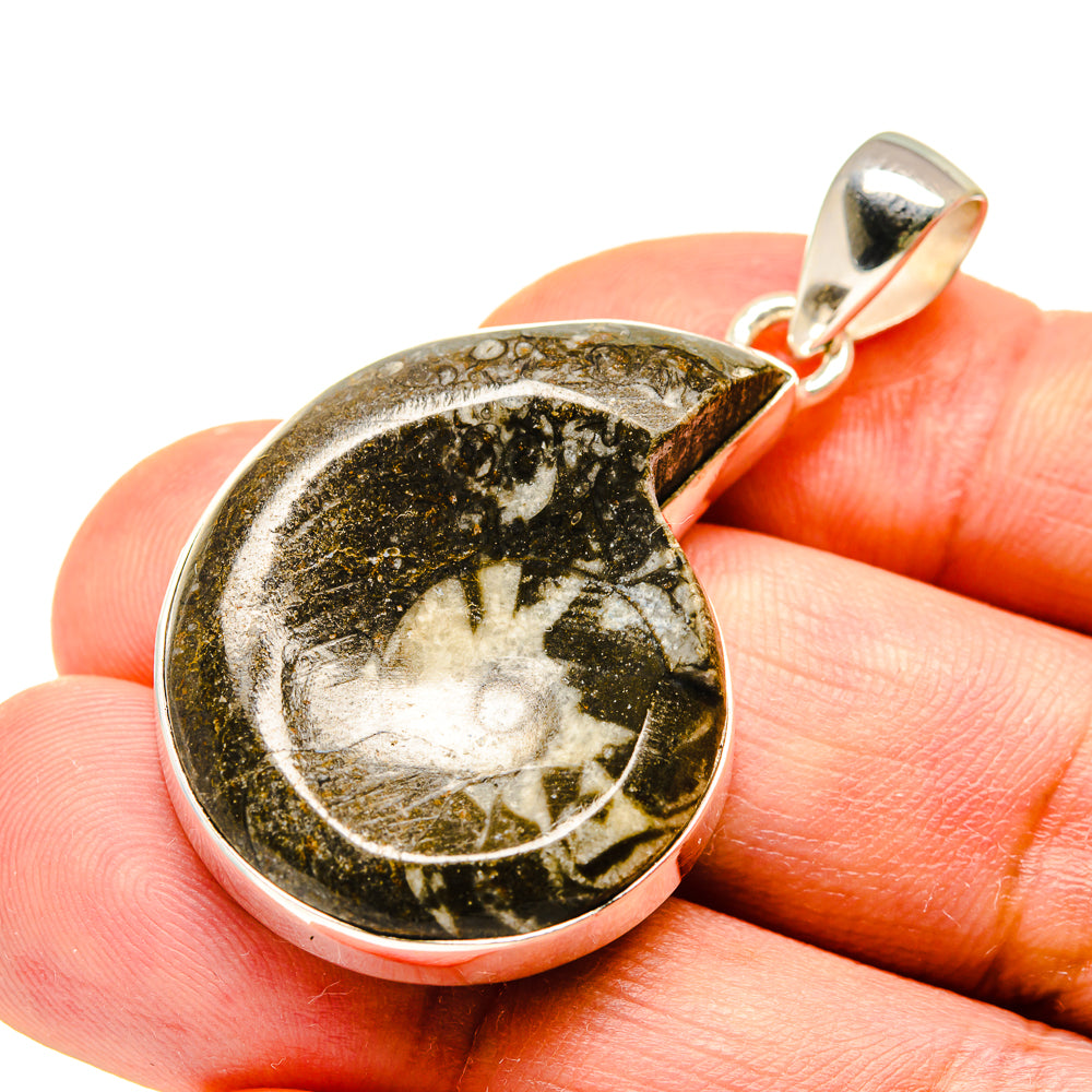 Orthoceras Fossil Pendants handcrafted by Ana Silver Co - PD739436