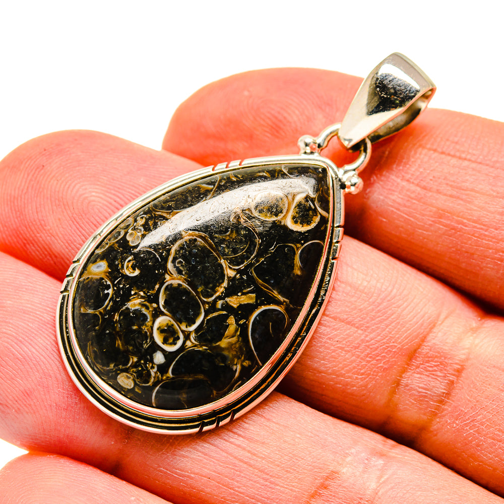 Turritella Agate Earrings handcrafted by Ana Silver Co - PD741612