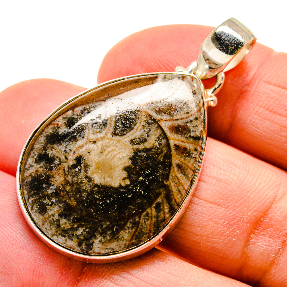 Orthoceras Fossil Pendants handcrafted by Ana Silver Co - PD743765