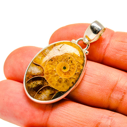 Ammonite Fossil Pendants handcrafted by Ana Silver Co - PD743873