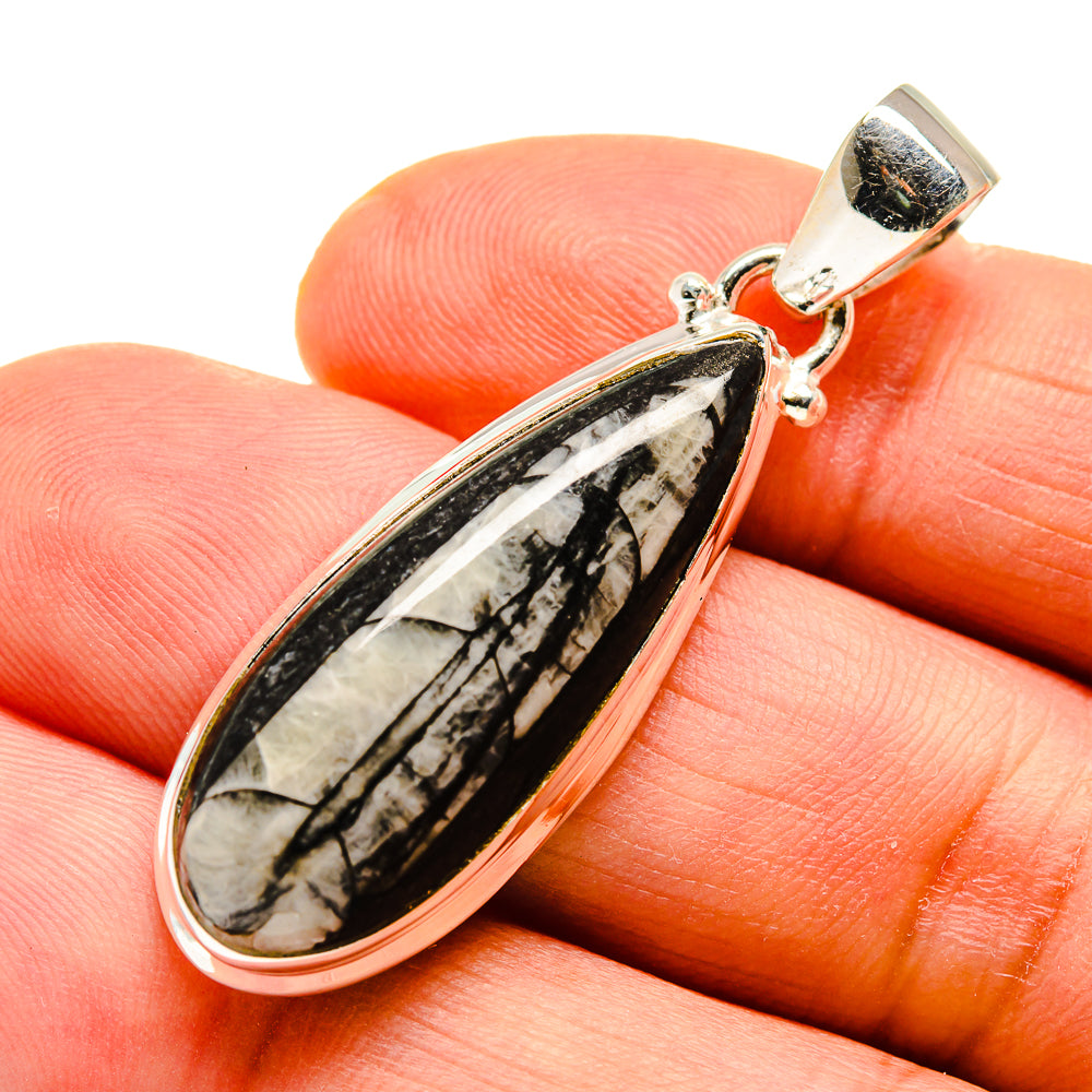 Orthoceras Fossil Pendants handcrafted by Ana Silver Co - PD744016