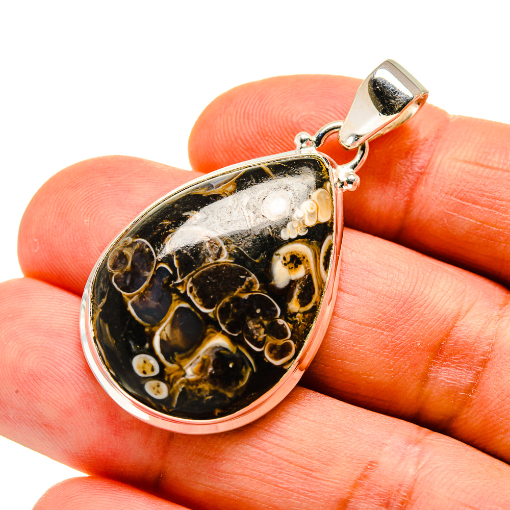 Turritella Agate Pendants handcrafted by Ana Silver Co - PD744034