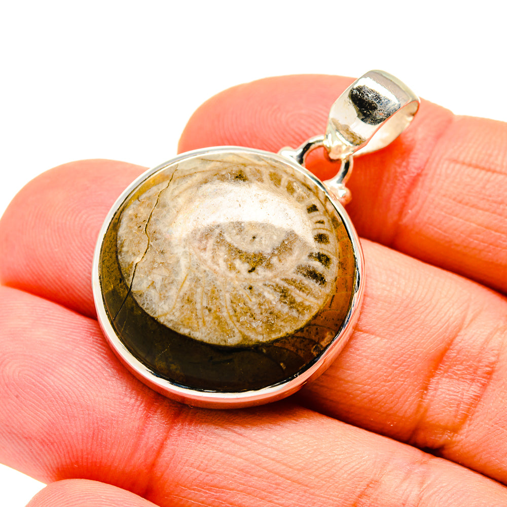 Orthoceras Fossil Pendants handcrafted by Ana Silver Co - PD744241