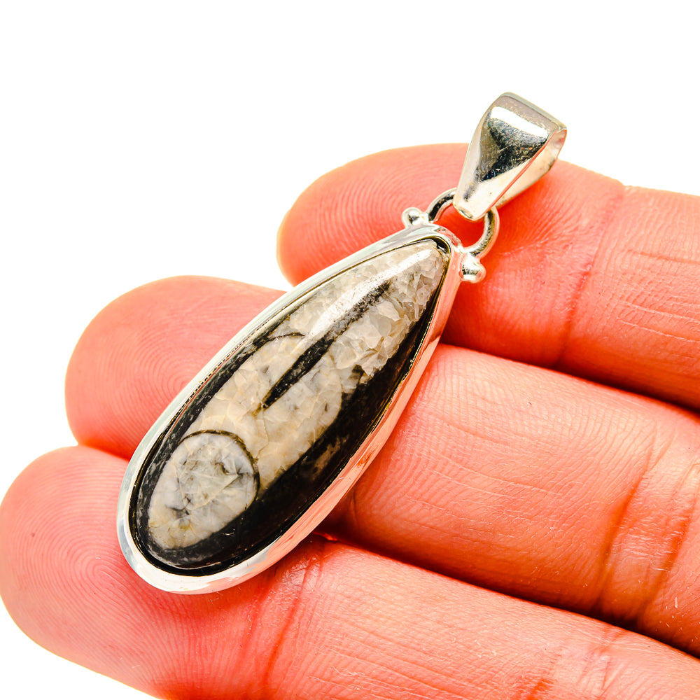 Orthoceras Fossil Pendants handcrafted by Ana Silver Co - PD744541