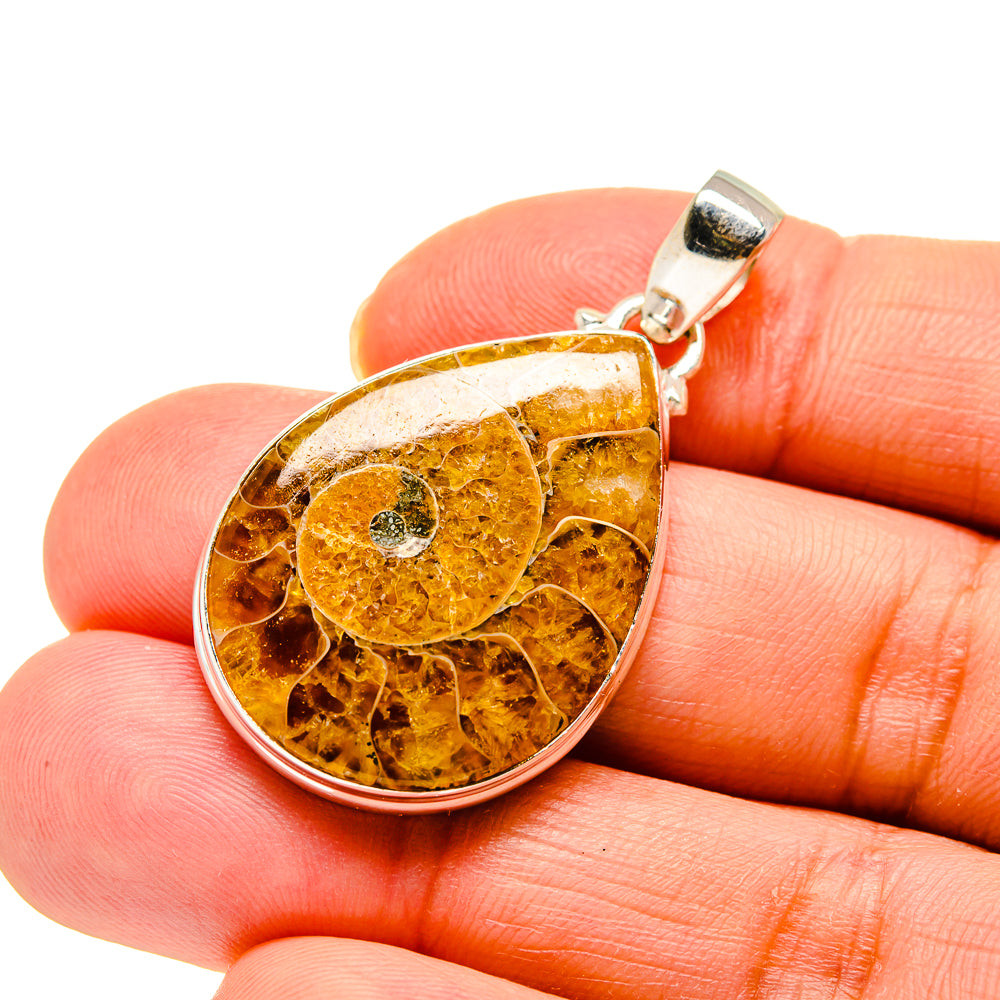 Ammonite Fossil Pendants handcrafted by Ana Silver Co - PD744713