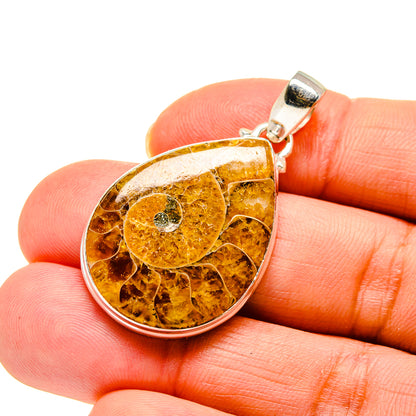 Ammonite Fossil Pendants handcrafted by Ana Silver Co - PD744713