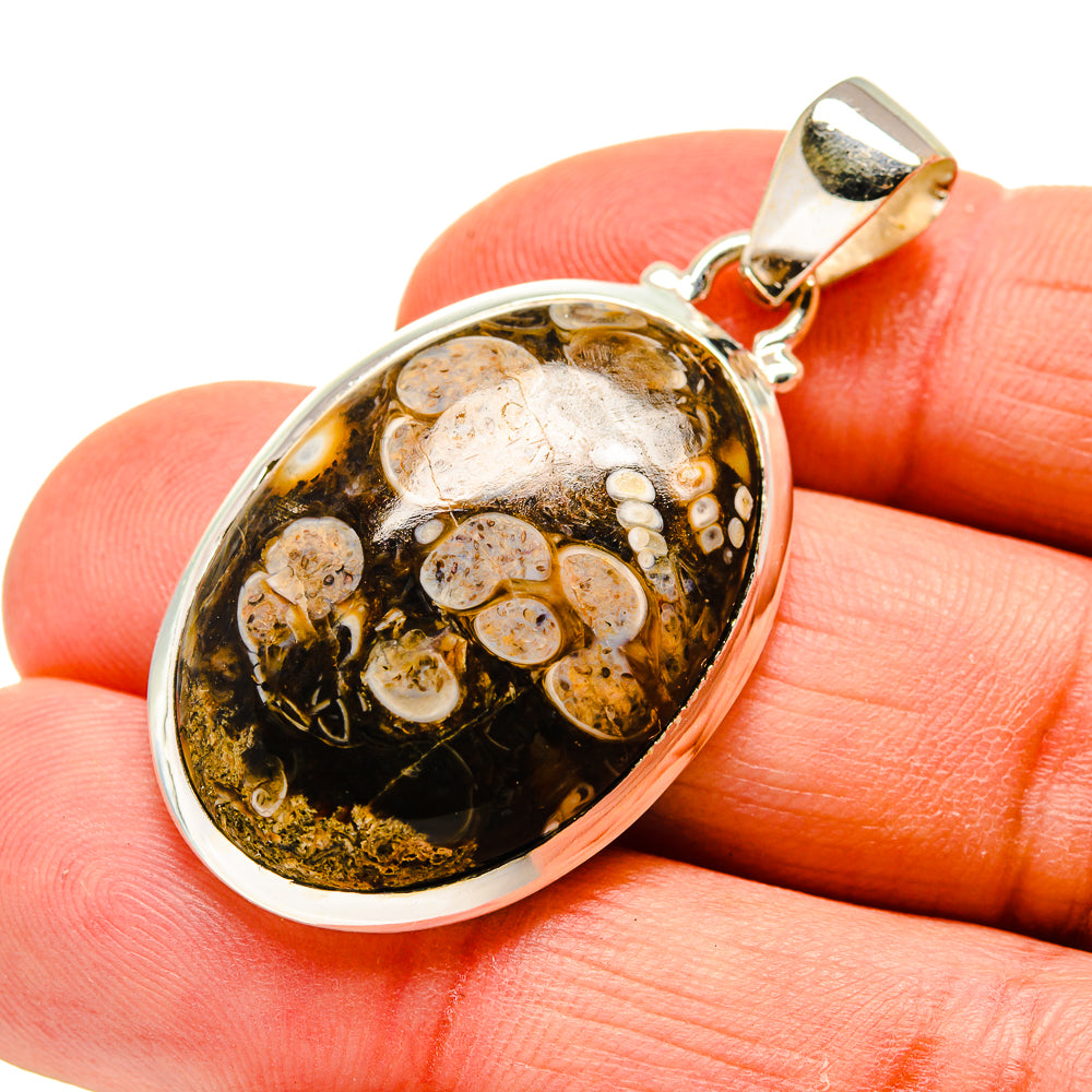 Turritella agate pendant in oval silver bezel with loop bail, dark gold and black stone