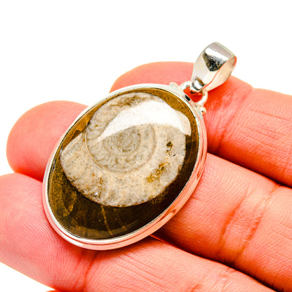 Orthoceras Fossil Pendants handcrafted by Ana Silver Co - PD744916