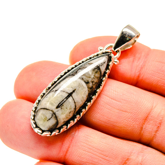 Orthoceras Fossil Pendants handcrafted by Ana Silver Co - PD745153