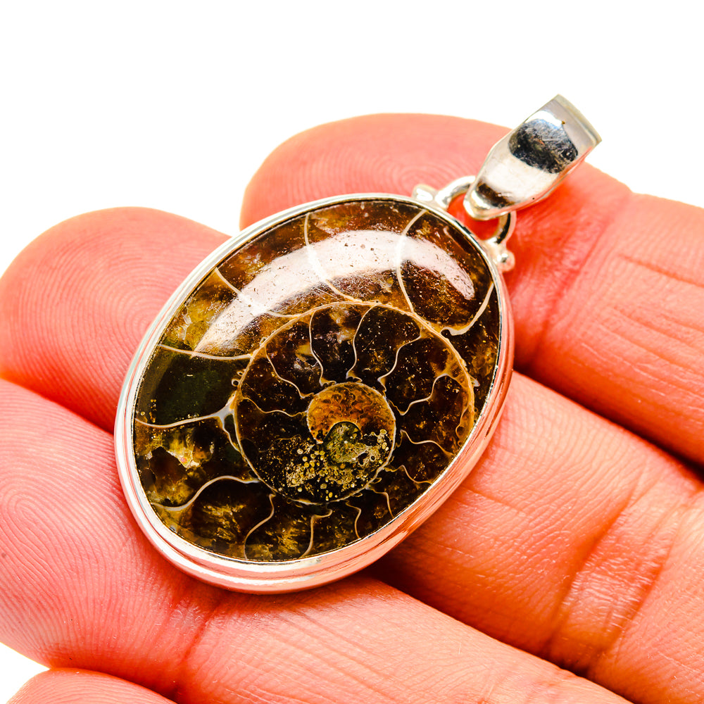 Ammonite Fossil Pendants handcrafted by Ana Silver Co - PD745220