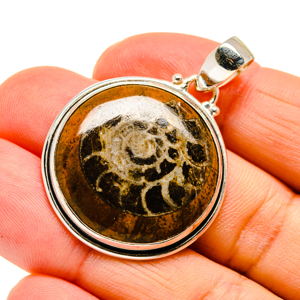 Orthoceras Fossil Pendants handcrafted by Ana Silver Co - PD745235