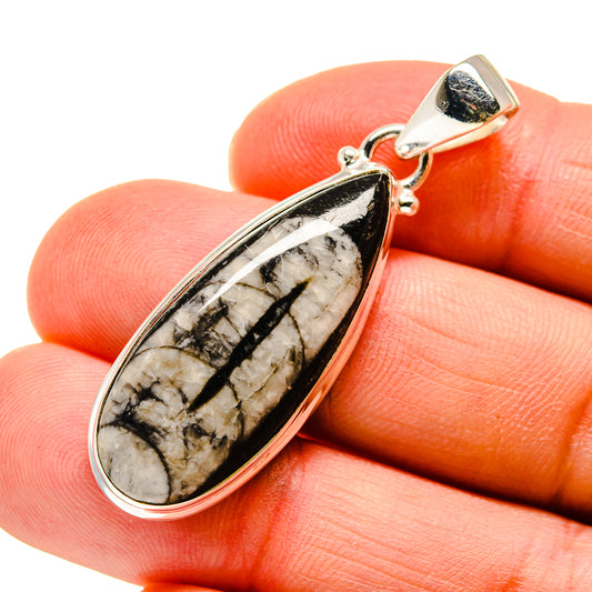 Orthoceras Fossil Pendants handcrafted by Ana Silver Co - PD745353