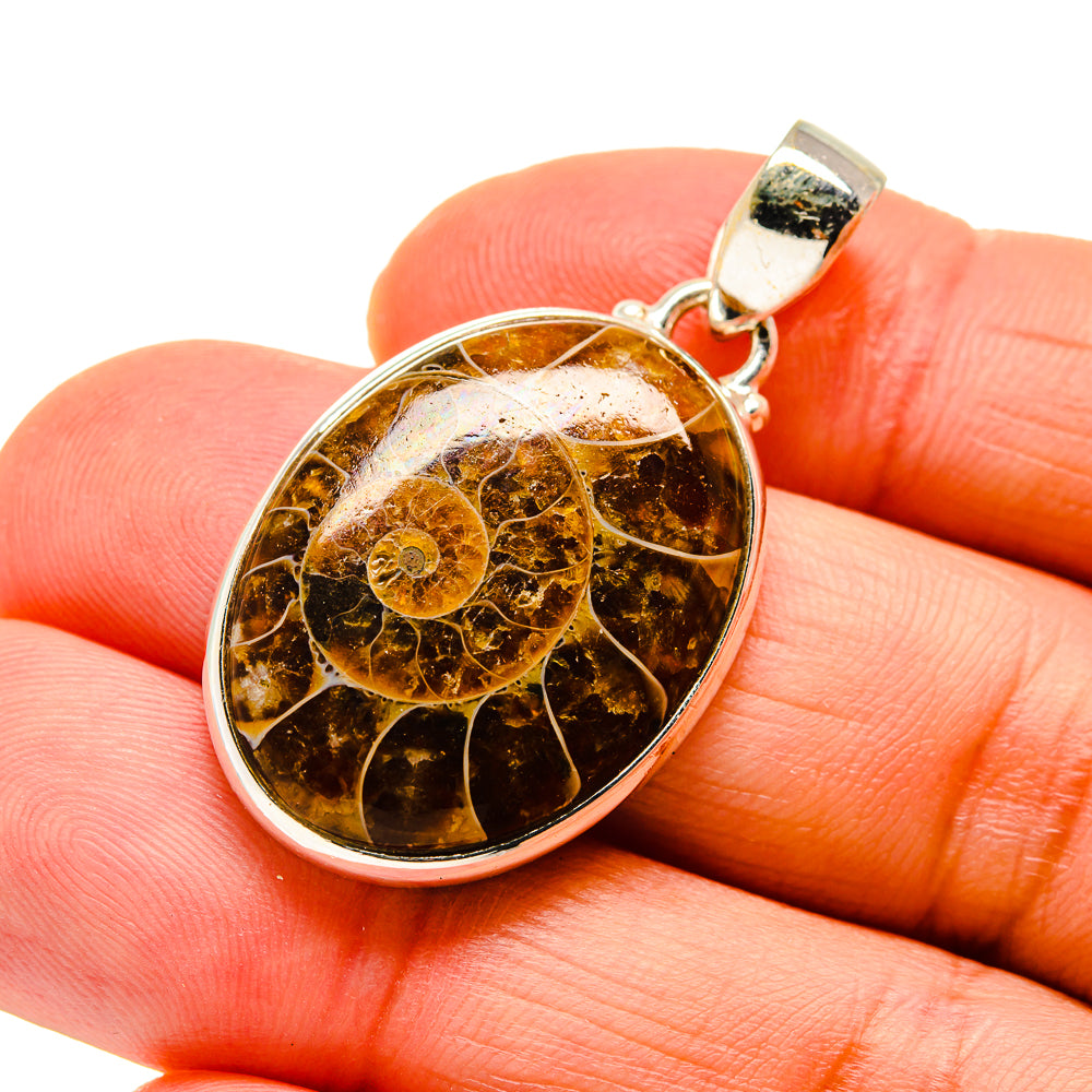 Ammonite Fossil Pendants handcrafted by Ana Silver Co - PD745595