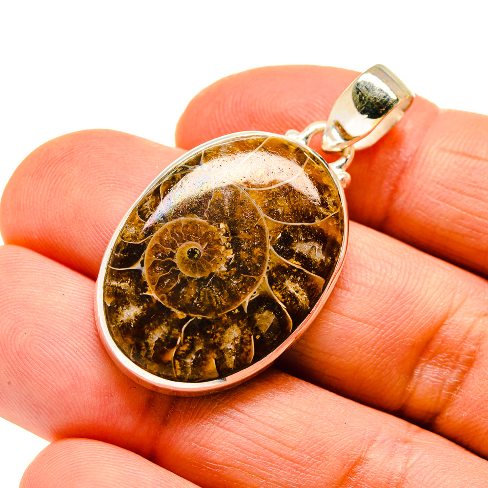 Ammonite Fossil Pendants handcrafted by Ana Silver Co - PD745702