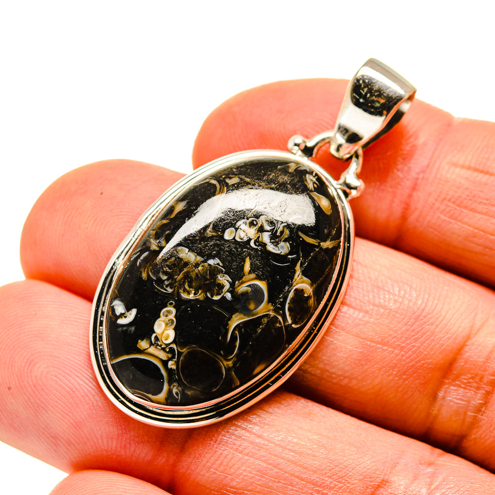 Turritella Agate Pendants handcrafted by Ana Silver Co - PD745714