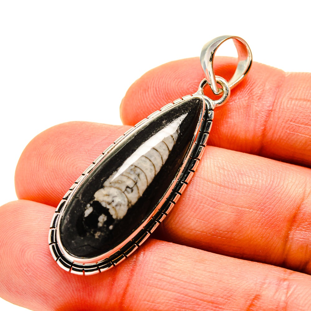 Orthoceras Fossil Pendants handcrafted by Ana Silver Co - PD746207