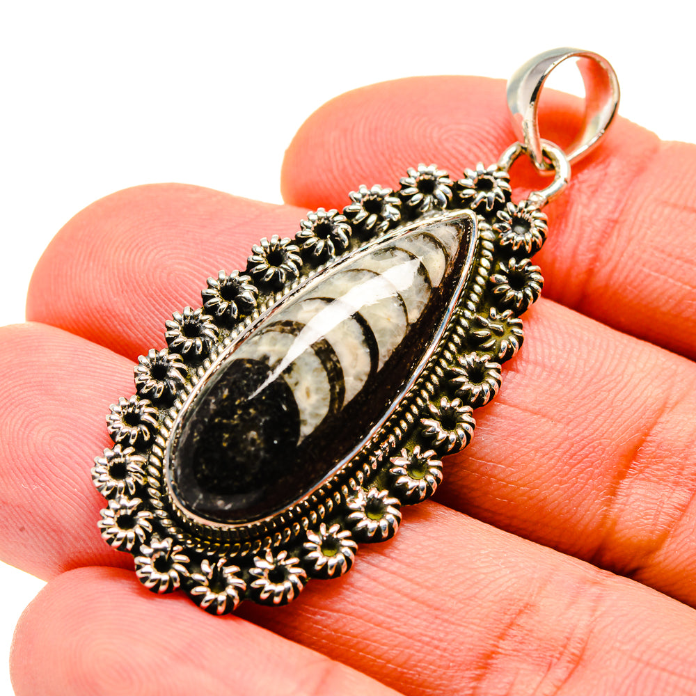Orthoceras Fossil Pendants handcrafted by Ana Silver Co - PD746574