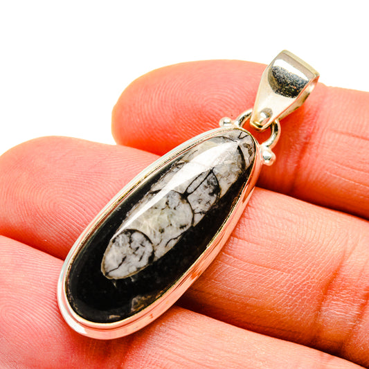 Orthoceras Fossil Pendants handcrafted by Ana Silver Co - PD746773