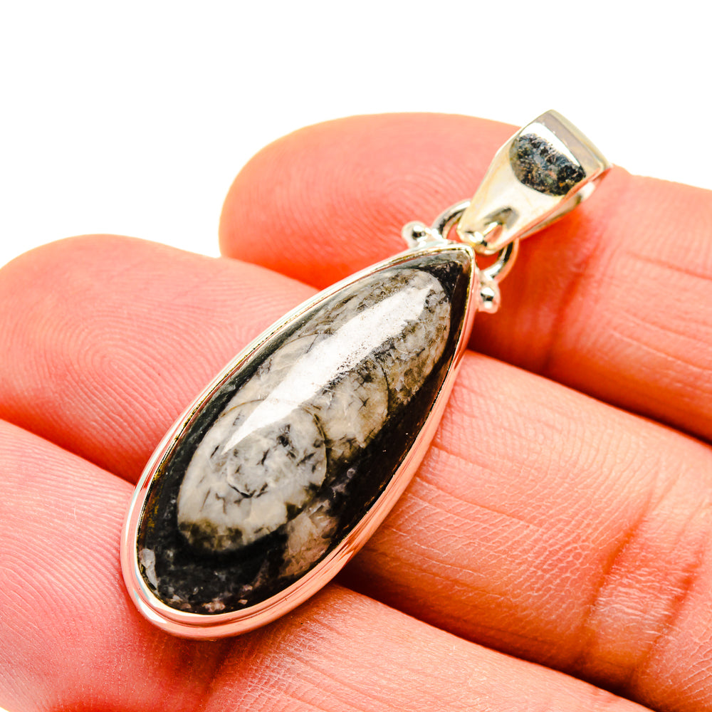 Orthoceras Fossil Pendants handcrafted by Ana Silver Co - PD746774
