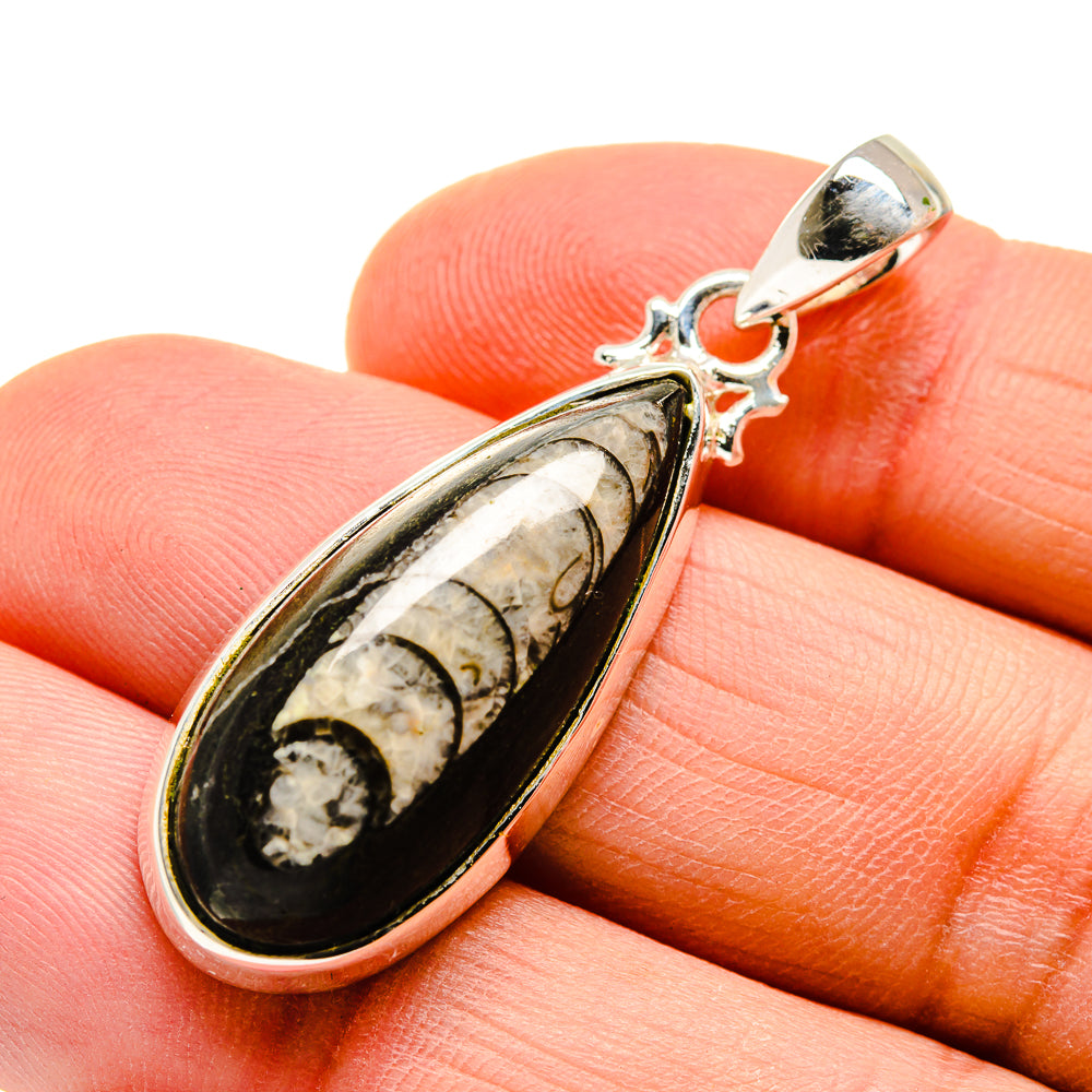 Orthoceras Fossil Pendants handcrafted by Ana Silver Co - PD746824