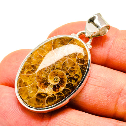 925 silver pendant with oval amber ammonite fossil and top bail loop