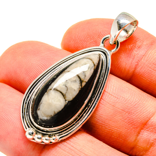 Orthoceras Fossil Pendants handcrafted by Ana Silver Co - PD748164