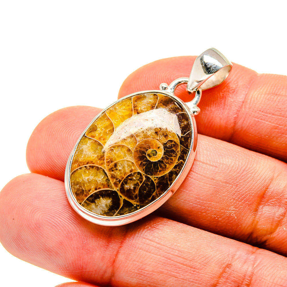 Oval ammonite fossil pendant in sterling silver frame with amber spiral detail