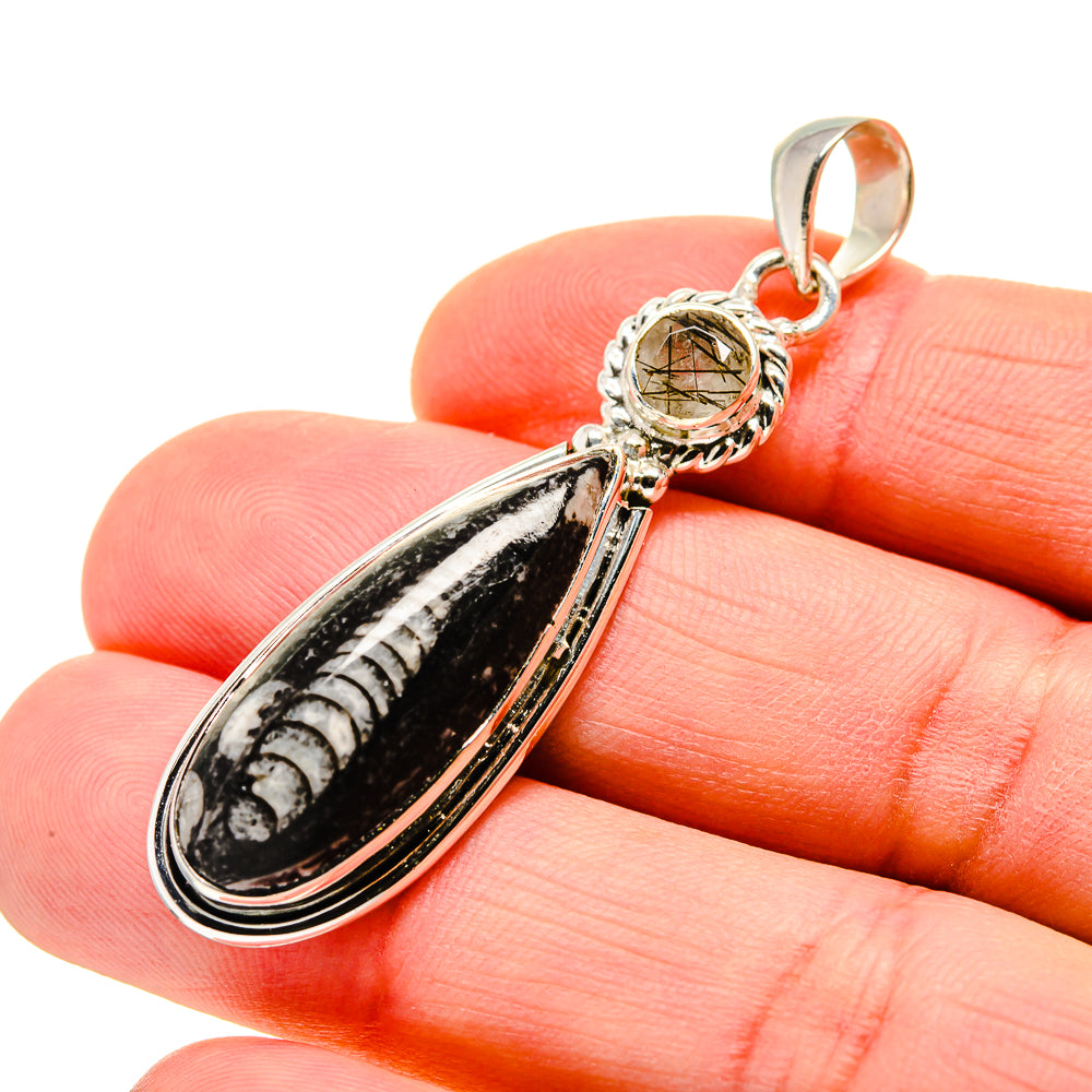 Orthoceras Fossil Pendants handcrafted by Ana Silver Co - PD750603
