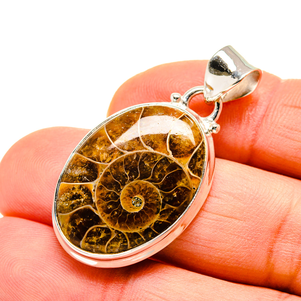 Ammonite Fossil Pendants handcrafted by Ana Silver Co - PD750989