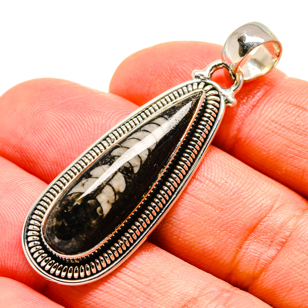 Orthoceras Fossil Pendants handcrafted by Ana Silver Co - PD754472