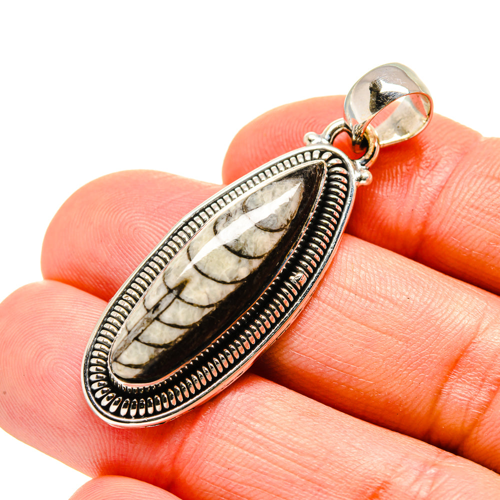 Orthoceras Fossil Pendants handcrafted by Ana Silver Co - PD754486