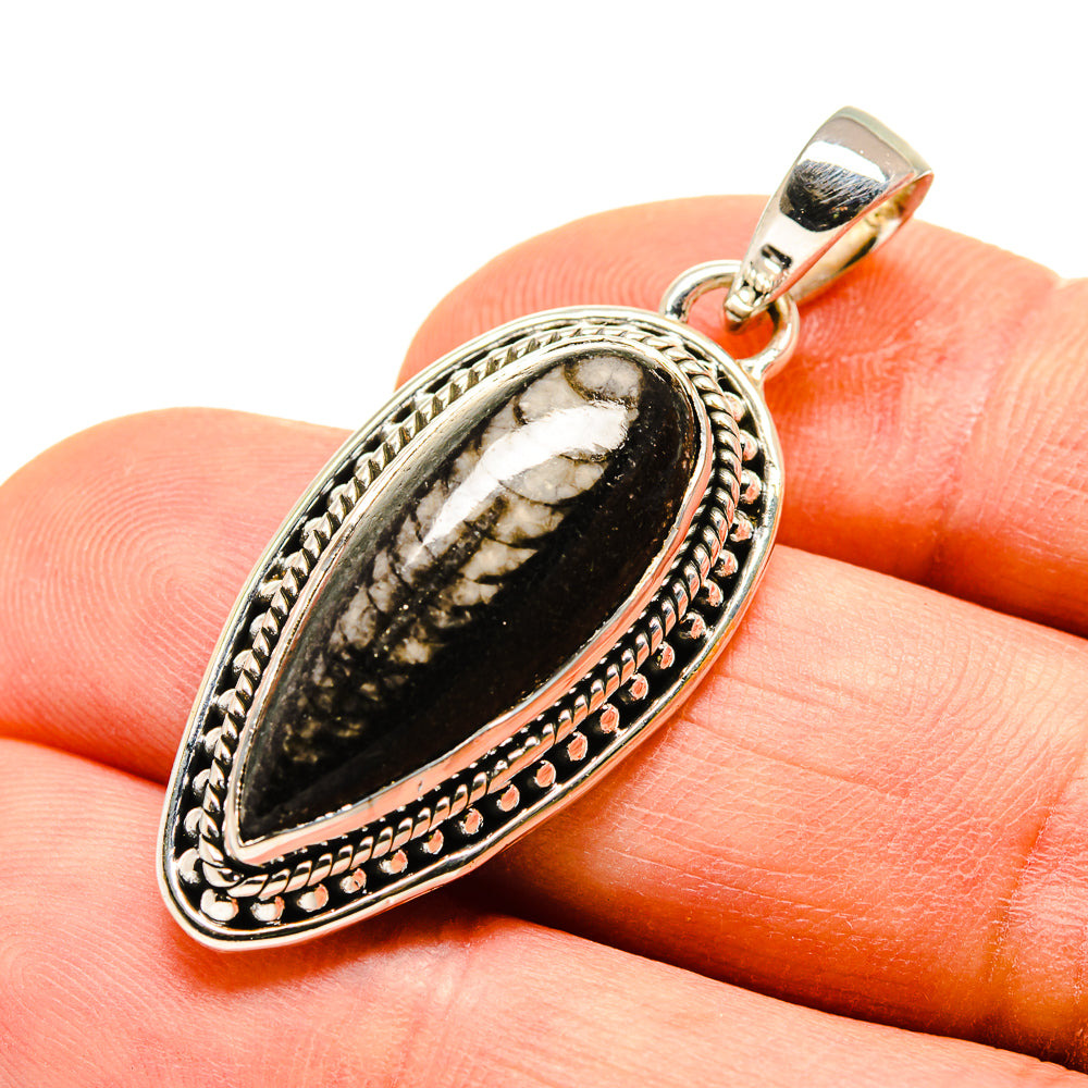 Orthoceras Fossil Pendants handcrafted by Ana Silver Co - PD755170