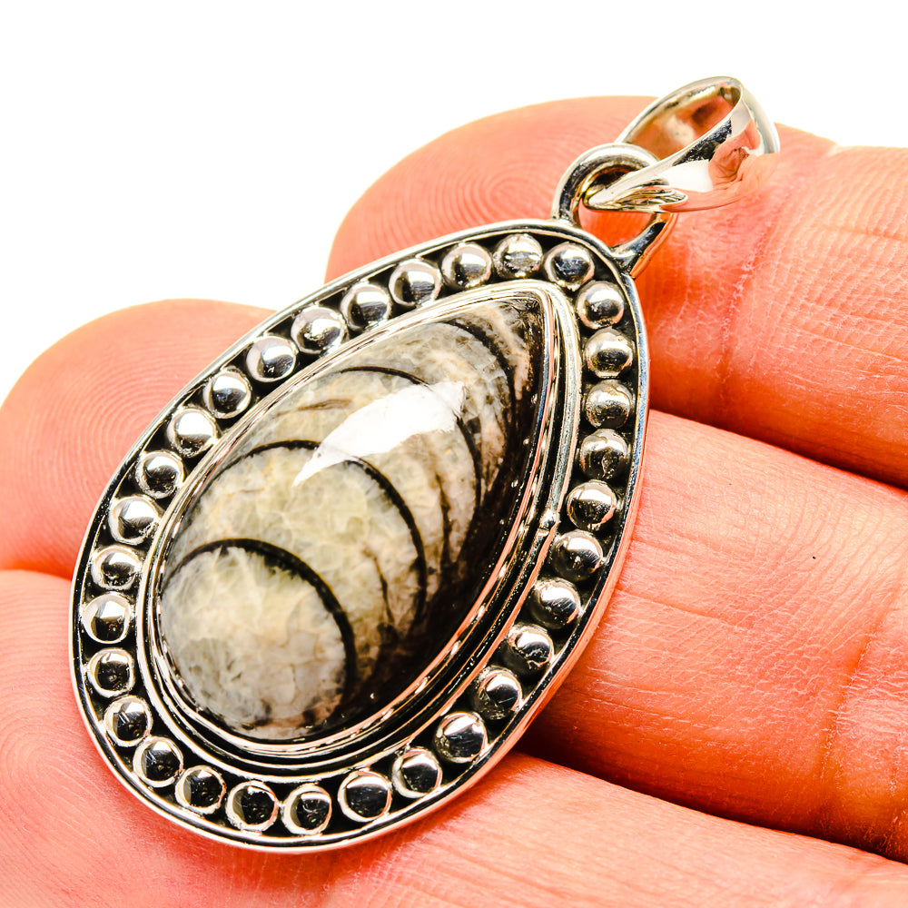 Orthoceras Fossil Pendants handcrafted by Ana Silver Co - PD755191