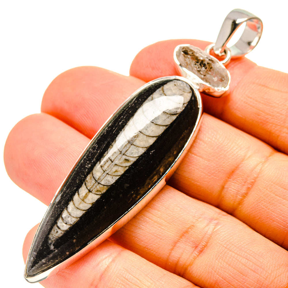 Orthoceras Fossil Pendants handcrafted by Ana Silver Co - PD755328