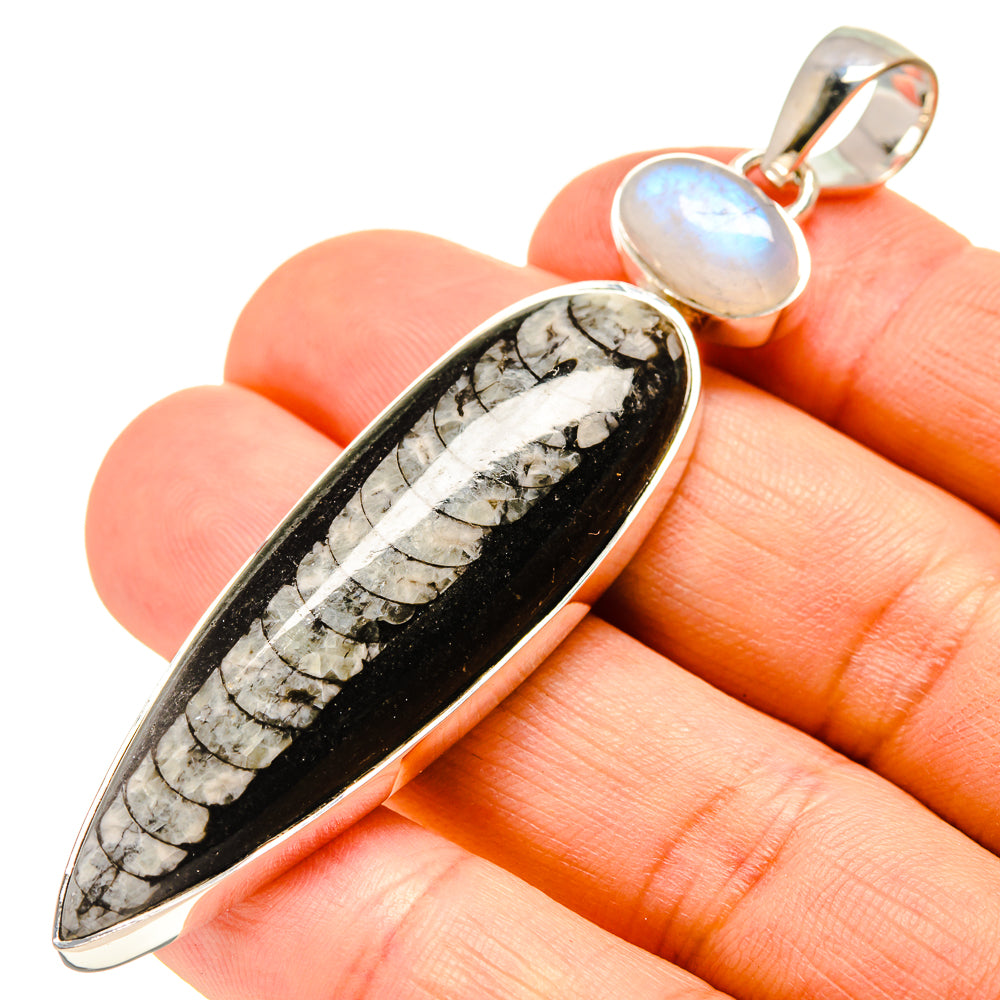 Orthoceras Fossil Pendants handcrafted by Ana Silver Co - PD755329