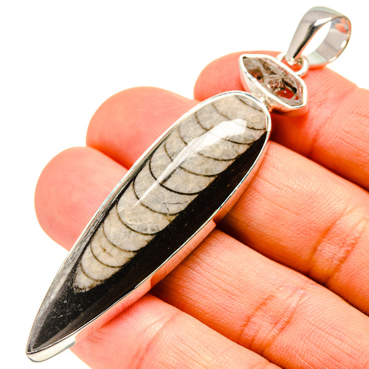 Orthoceras Fossil Pendants handcrafted by Ana Silver Co - PD755330