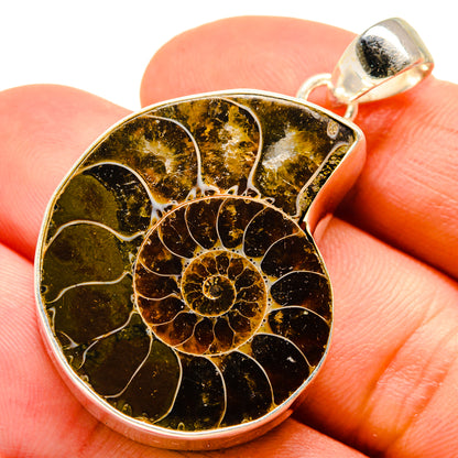 Ammonite Fossil Pendants handcrafted by Ana Silver Co - PD755340