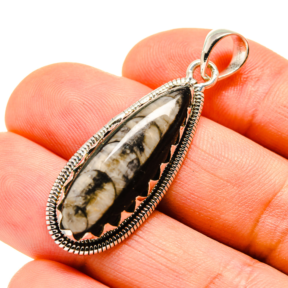 Orthoceras Fossil Pendants handcrafted by Ana Silver Co - PD755613