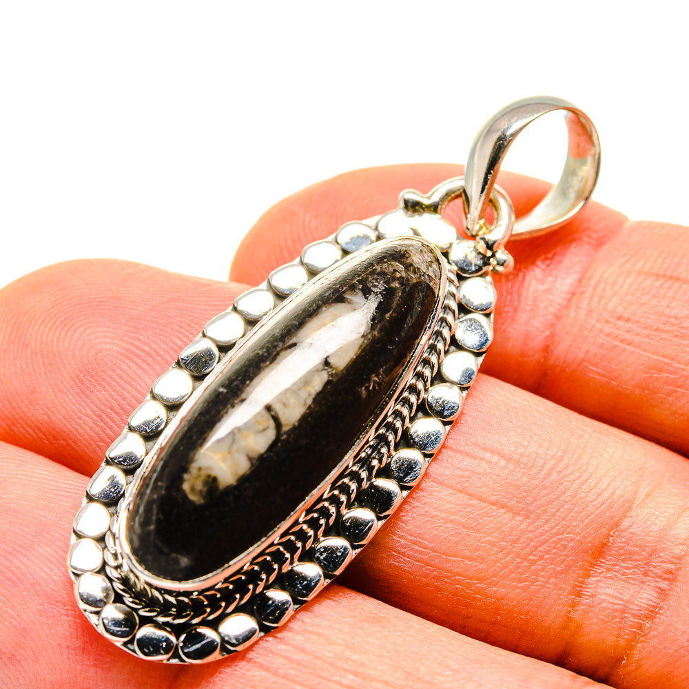 Orthoceras Fossil Pendants handcrafted by Ana Silver Co - PD755873