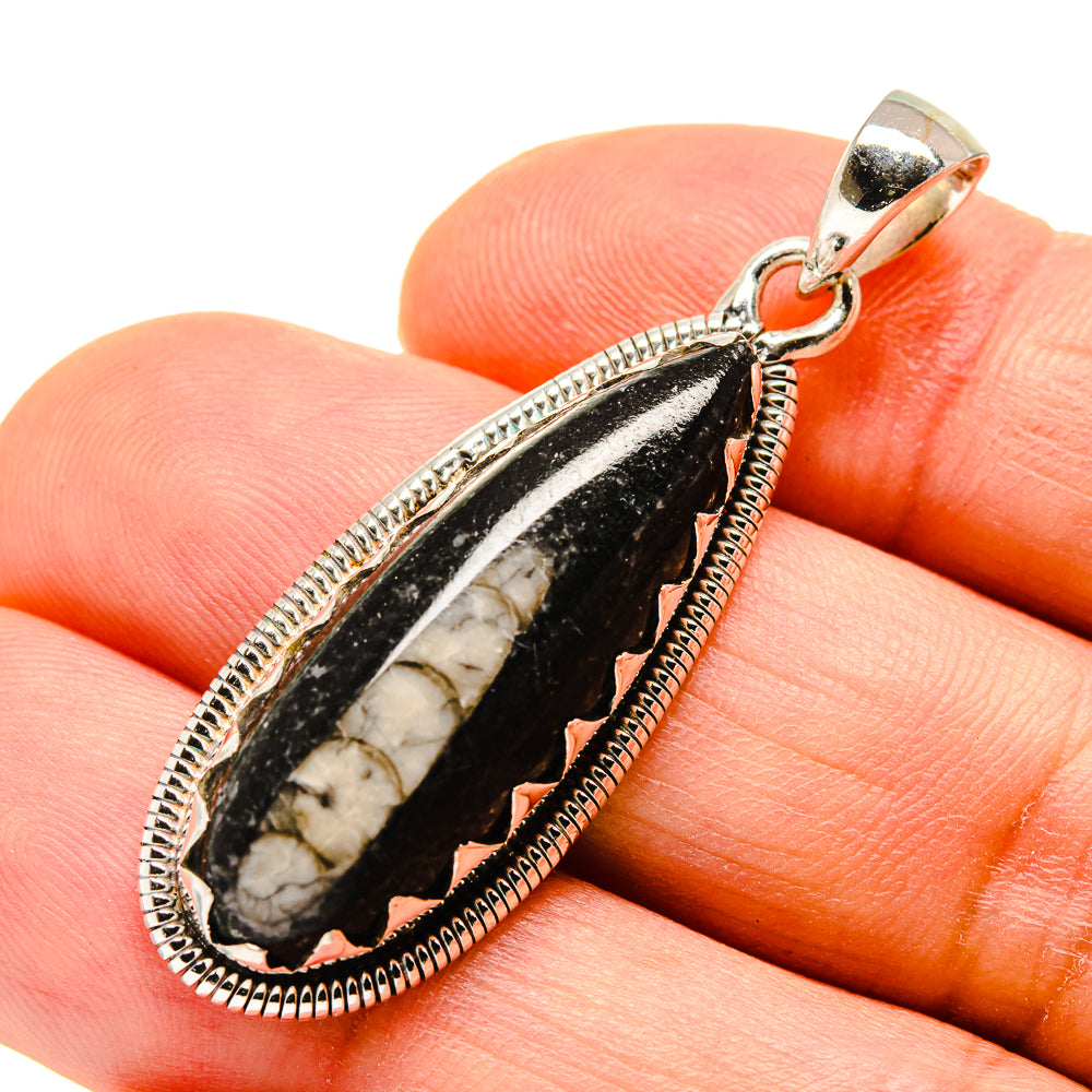 Orthoceras Fossil Pendants handcrafted by Ana Silver Co - PD755877