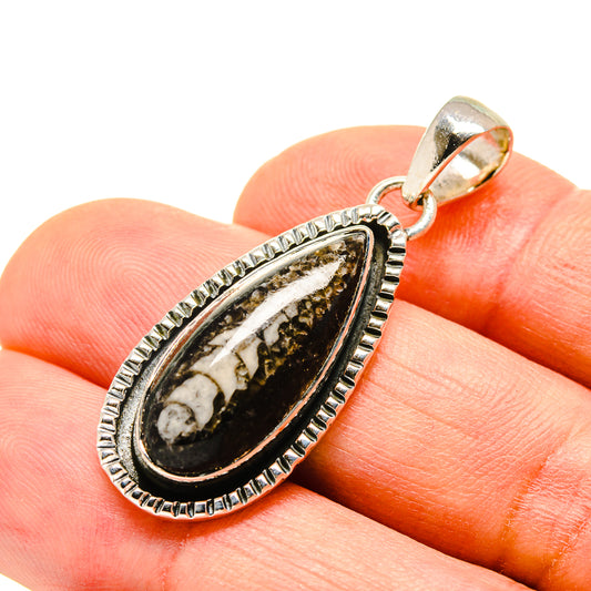 Orthoceras Fossil Pendants handcrafted by Ana Silver Co - PD755903