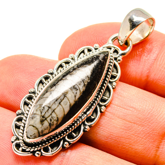 Orthoceras Fossil Pendants handcrafted by Ana Silver Co - PD756110
