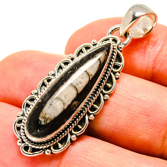Orthoceras Fossil Pendants handcrafted by Ana Silver Co - PD756167