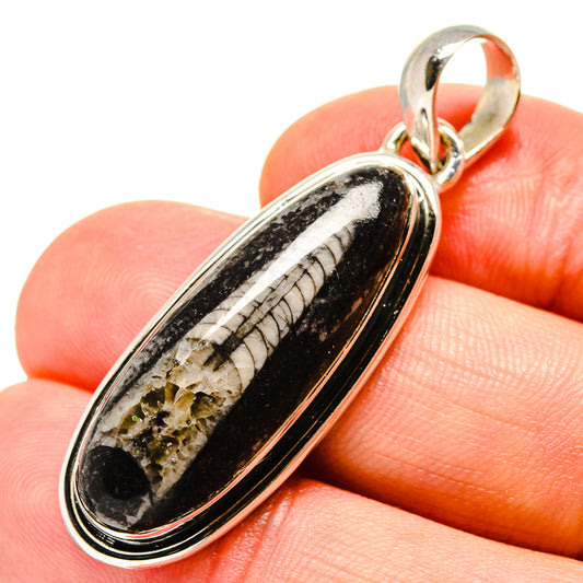 Orthoceras Fossil Pendants handcrafted by Ana Silver Co - PD756289