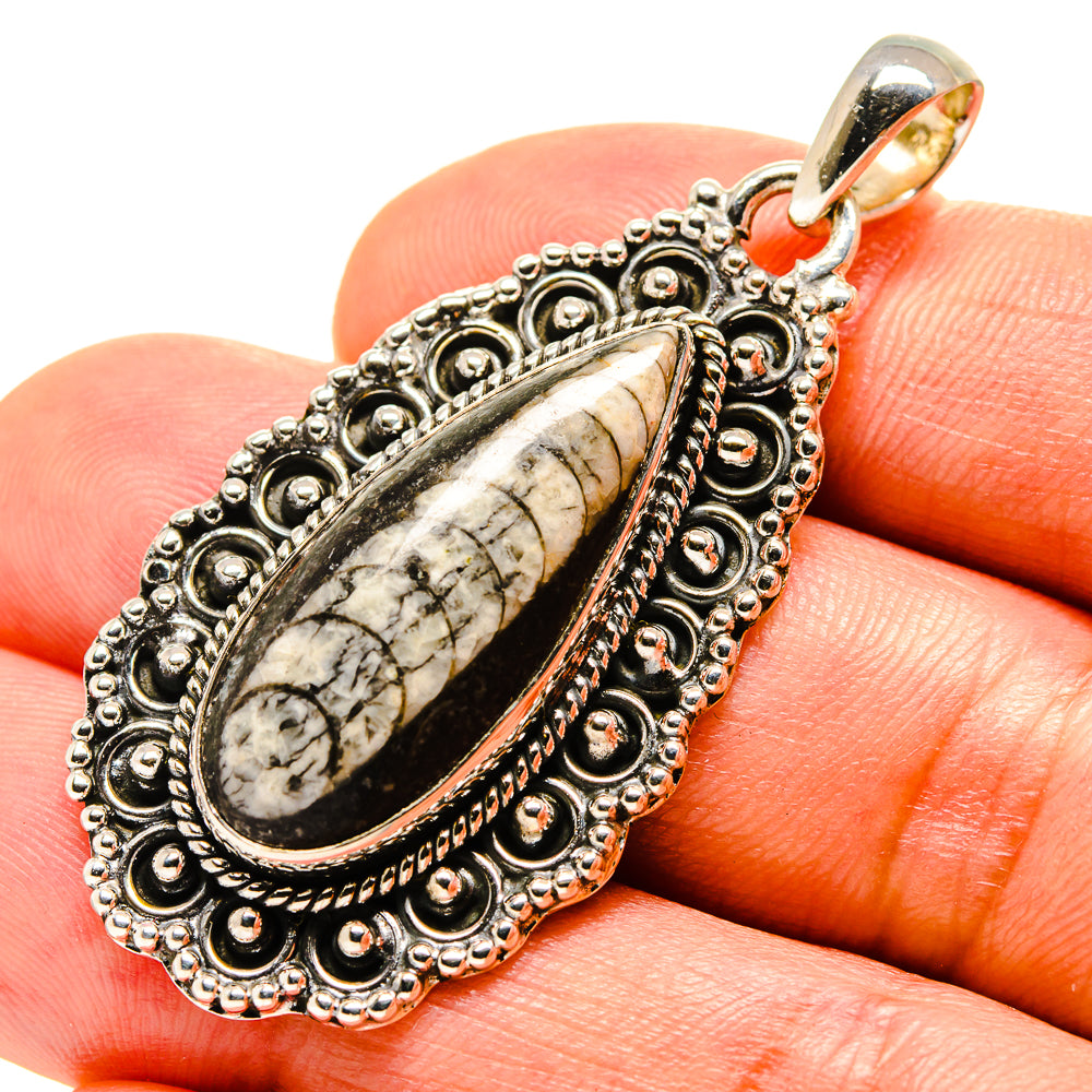 Orthoceras Fossil Pendants handcrafted by Ana Silver Co - PD756486