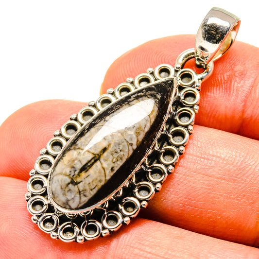 Orthoceras Fossil Pendants handcrafted by Ana Silver Co - PD756526