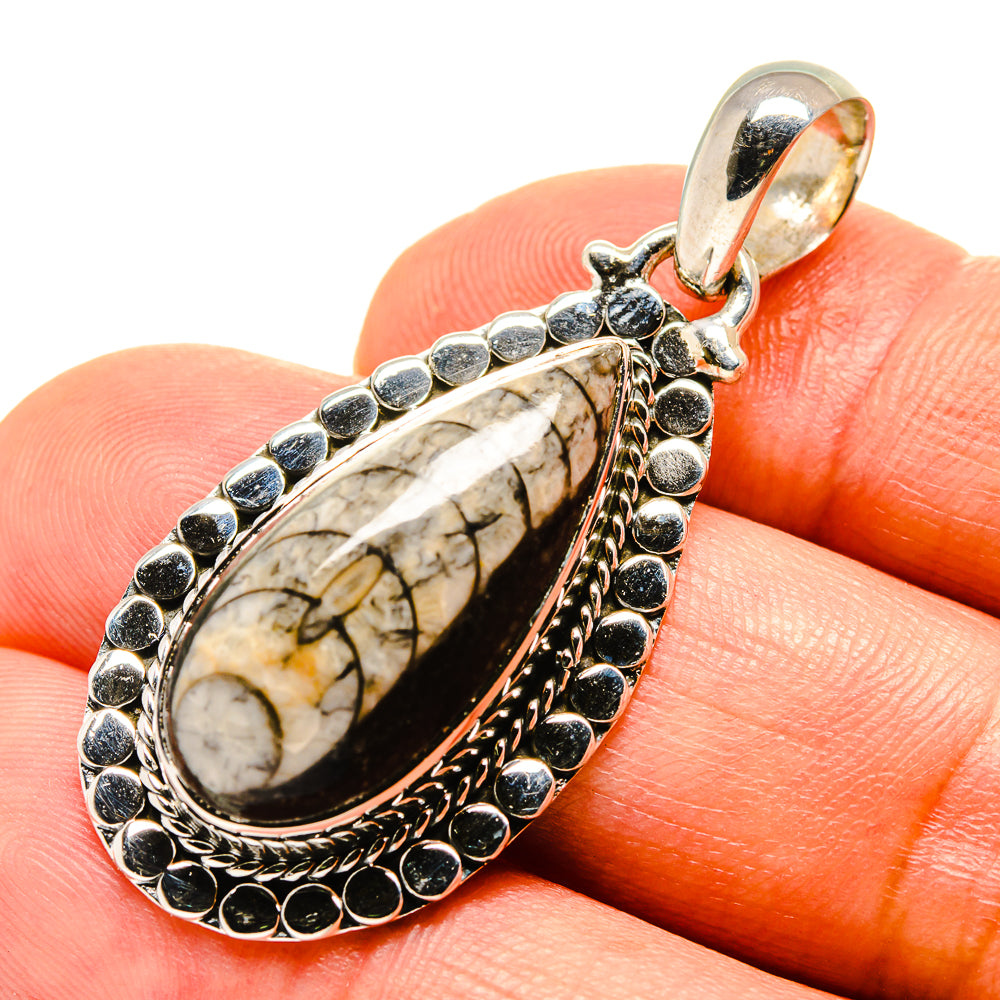 Orthoceras Fossil Pendants handcrafted by Ana Silver Co - PD756561